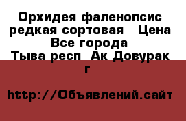 Орхидея фаленопсис редкая сортовая › Цена ­ 800 - Все города  »    . Тыва респ.,Ак-Довурак г.